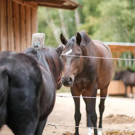 팜스테이 Biohof Medewege 슈베린