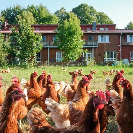 Biohof Medewege 팜스테이 슈베린