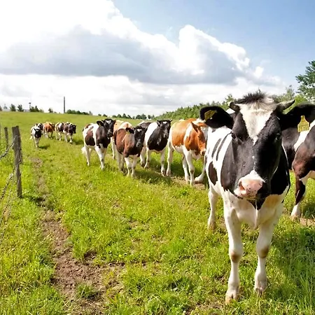 Biohof Medewege Farm stay *