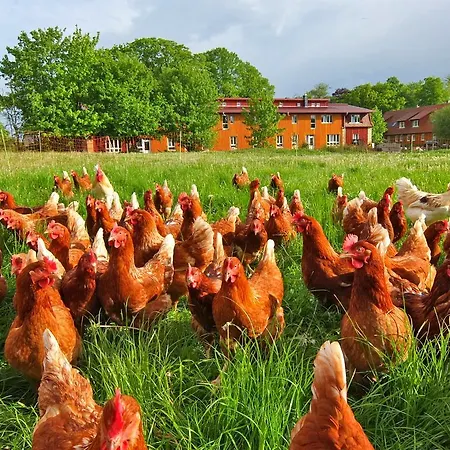 Biohof Medewege * Schwerin (Mecklenburg-Vorpommern)
