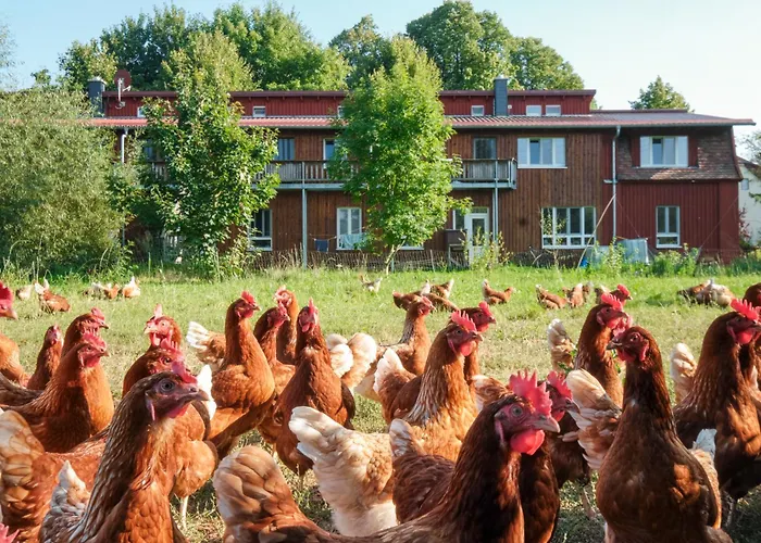 Biohof Medewege Gospodarstwo agroturystyczne Schwerin (Mecklenburg-Vorpommern)